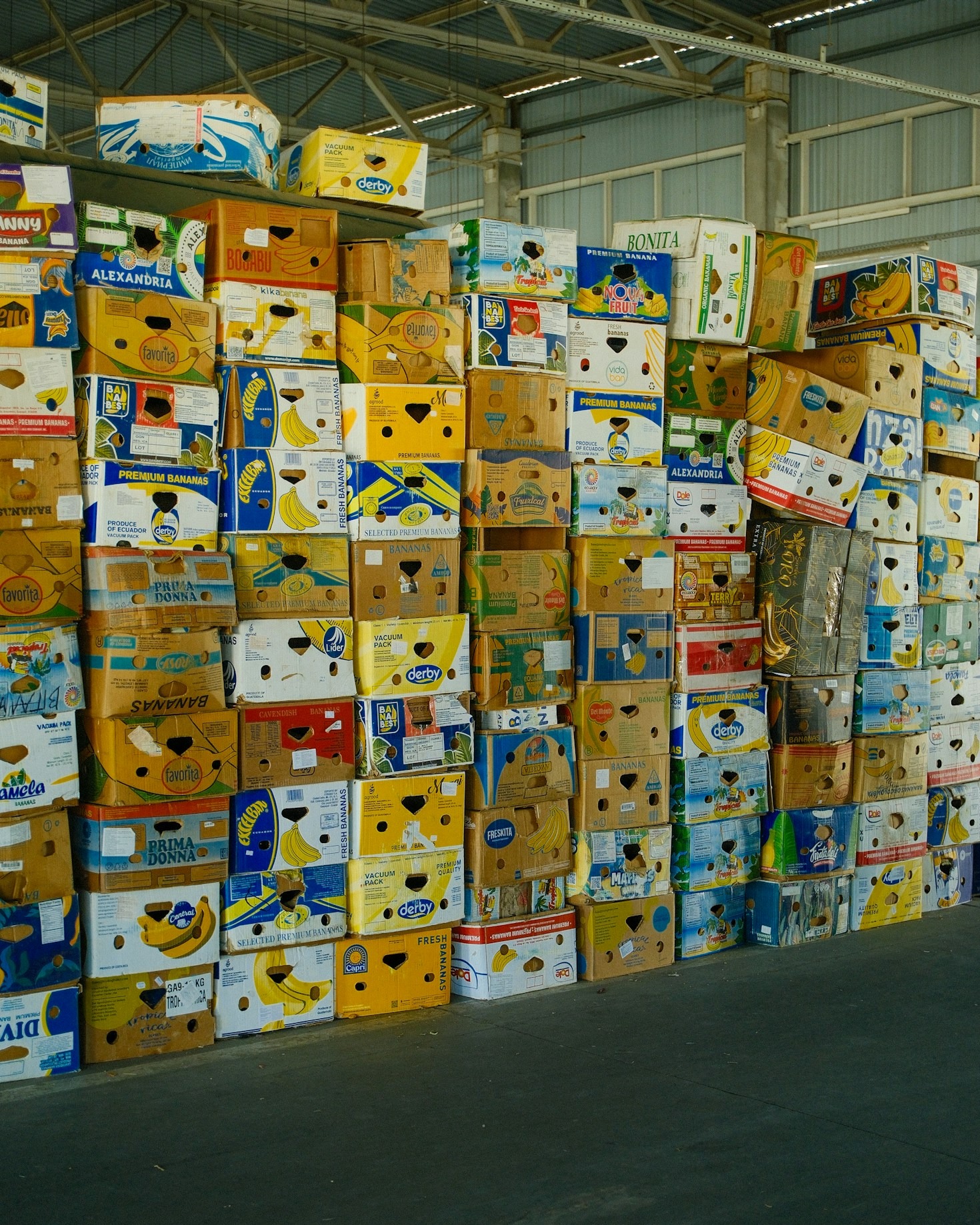Il valore della condivisione: costruire reti di supporto locale